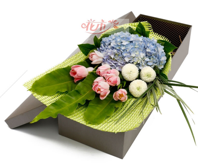 郁金香代表什么,郁金香的花语是什么?