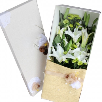 矢车菊的花语是什么?