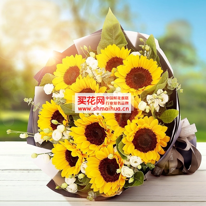 父亲节送什么花好,父亲节送什么花最合适