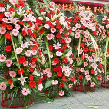 公司(新店)开业送什么花好?
